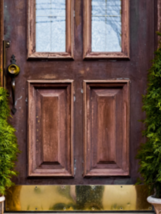 5 unique door type